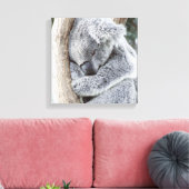 Koala-Baby Leinwanddruck (Insitu (Wohnzimmer))