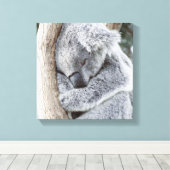 Koala-Baby Leinwanddruck (Insitu (Holzboden))