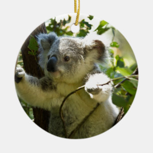Koala-Bär Aussi Keramik Ornament