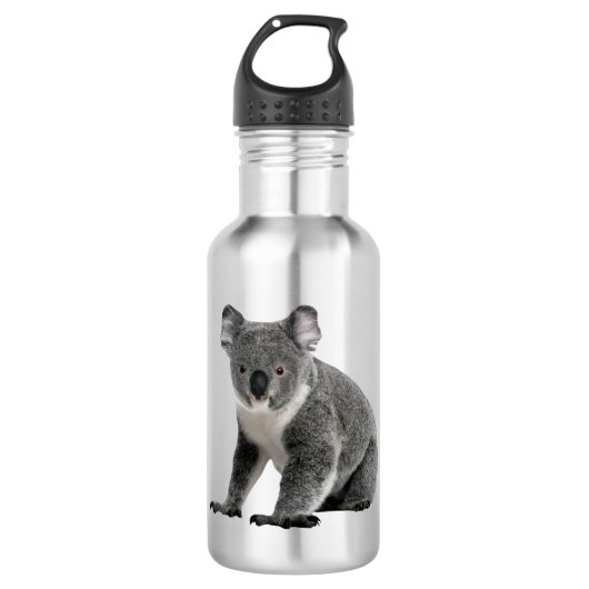 Koala-Bär Edelstahlflasche (Vorderseite)