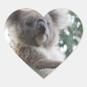 Koala Bar Facts Stickers (Vorderseite)