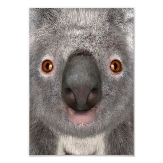 Koala Bär Fotodruck (Vorne)