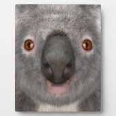 Koala Bär Fotoplatte (Vorderseite)