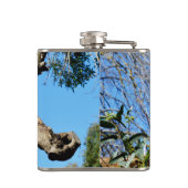 Koala Bär im alten Baum, Hüftkolben Flachmann (Rückseite)