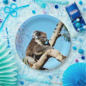 Koala-Bär im alten Kiefernbaum, Pappteller (Party)
