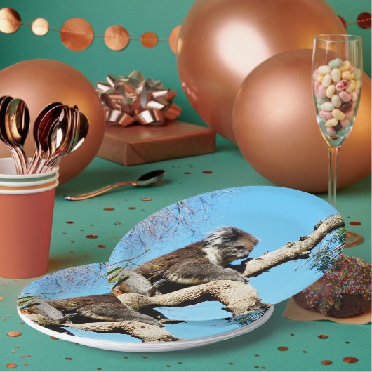 Koala-Bär im alten Kiefernbaum, Pappteller (Multi)