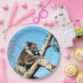 Koala-Bär im alten Kiefernbaum, Pappteller (Party)
