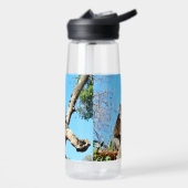 Koala-Bär im alten Kiefernbaum, Trinkflasche (Links)