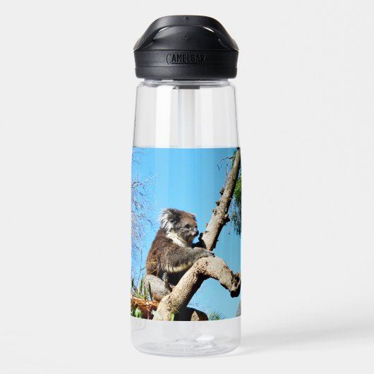 Koala-Bär im alten Kiefernbaum, Trinkflasche (Rückseite)