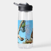 Koala-Bär im alten Kiefernbaum, Trinkflasche (Rechts)