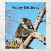 Koala-Bär im alten Kiefernbaum, Weinetikett (Einzelnes Label)