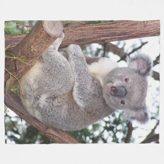 Koala-Bär in der Baum-Fleece-Decke Fleecedecke (Vorderseite (Horizontal))