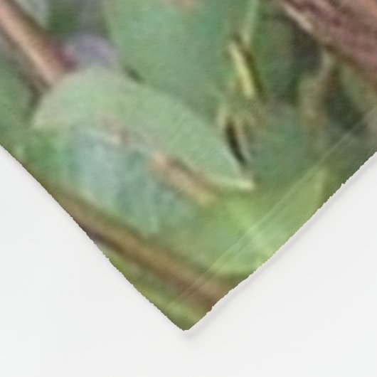 Koala-Bär in der Baum-Fleece-Decke Fleecedecke (Ecke)