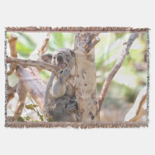 Koala-Bär in einem Baum Decke (Vorderseite)