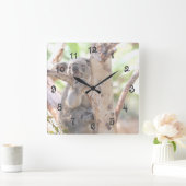 Koala-Bär in einem Baum Quadratische Wanduhr (Zuhause)