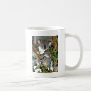 Koala-Bär Kaffeetasse