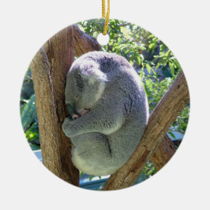 Koala-Bär Keramik Ornament