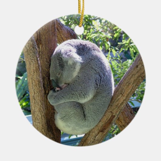 Koala-Bär Keramik Ornament (Vorne)