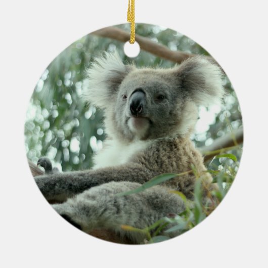 Koala-Bär Keramikornament (Hinten)