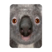 Koala Bär Magnet (Vertikal)