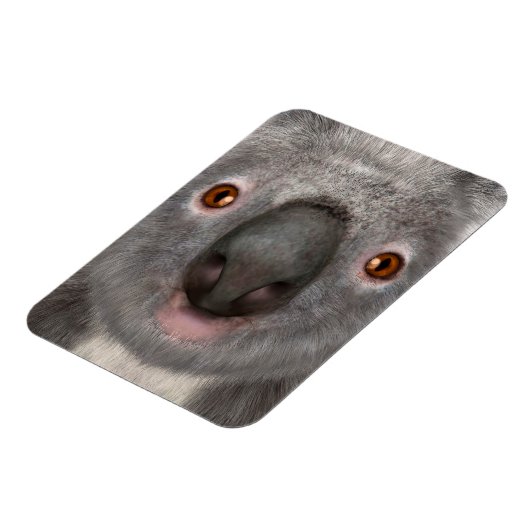 Koala Bär Magnet (Linke Seite)
