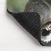 Koala-Bär Mousepad (Ecke)