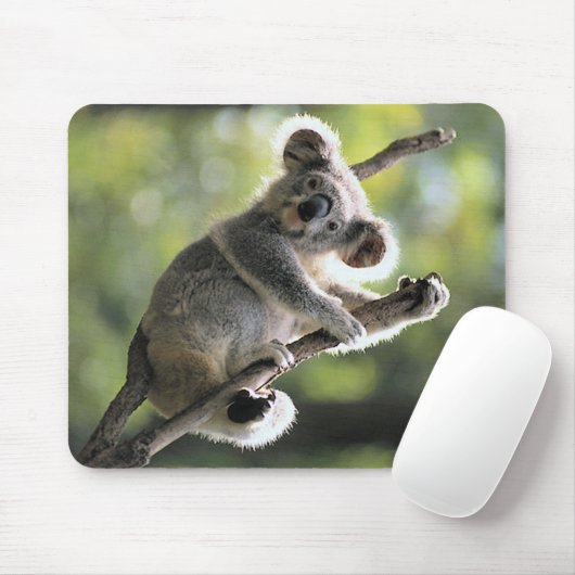 Koala-Bär Mousepad (Mit Mouse)