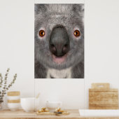 Koala Bär Poster (Küche)