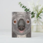 Koala Bär Postkarte (Stehend Vorderseite)