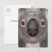 Koala Bär Postkarte (Vorne/Hinten)