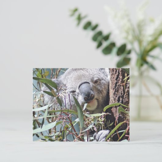 Koala Bär Postkarte (Stehend Vorderseite)