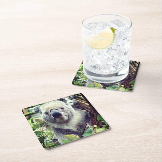 Koala-Bär Rechteckiger Pappuntersetzer (Vor Ort)