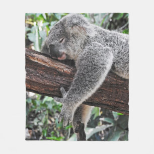 KOALA BÄR SCHLÄFT AUF EINEM BAUM FLEECEDECKE