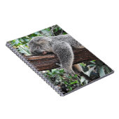 KOALA-BÄR SCHLÄFT AUF EINEM BAUM NOTIZBLOCK (Rechte Seite)
