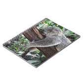 KOALA-BÄR SCHLÄFT AUF EINEM BAUM NOTIZBLOCK (Linke Seite)