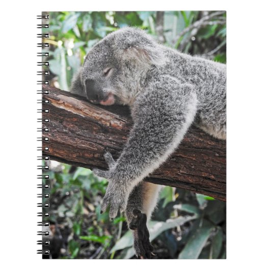 KOALA-BÄR SCHLÄFT AUF EINEM BAUM NOTIZBLOCK (Vorderseite)