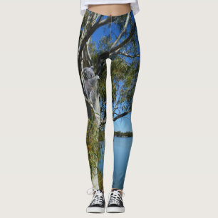 Koala-Bär schläft in Eukalyptusbaum, Leggings