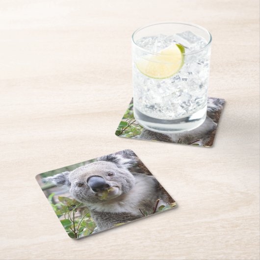 Koala-Bär Untersetzer (Vor Ort)