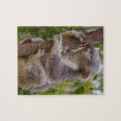Koala Bären Australien Puzzle (Horizontal)