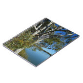 Koala-Bären, die in Gummi-Baum schlafen, Notizblock (Linke Seite)