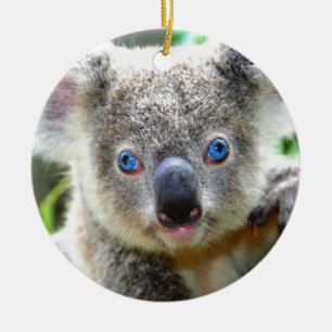 Koala-Bären Keramik Ornament