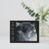 Koala-Bären Postkarte (Stehend Vorderseite)