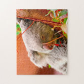 Koala-Bären. Puzzle (Vertikal)