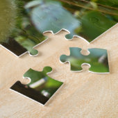 Koala-Bären. Puzzle (Seite)