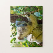 Koala-Bären. Puzzle (Vertikal)