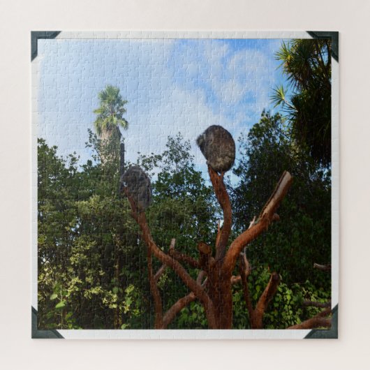 Koala-Bären schlafen in Bäumen, Puzzle (Vertikal)