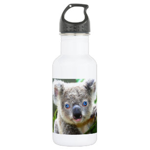 Koala-Bären Trinkflasche