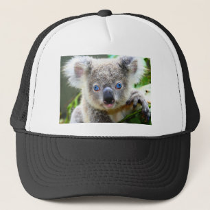 Koala-Bären Truckerkappe