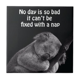 Koala-Bärenfliese Fliese