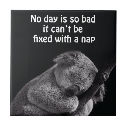 Koala-Bärenfliese Fliese (Vorderseite)